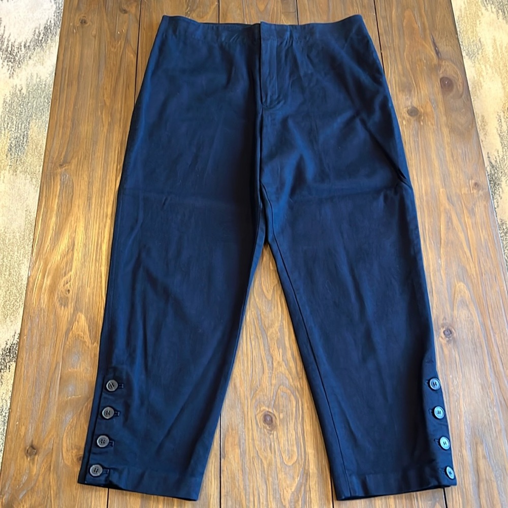 Club Monaco Navy Pants with Buttons